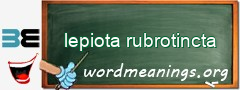 WordMeaning blackboard for lepiota rubrotincta